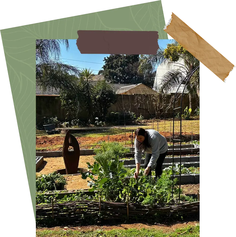 Melanie-Fern Smit tending raised garden beds at Fern & Wild in Randburg, Johannesburg