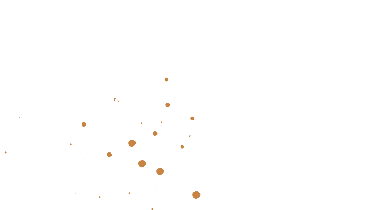 Fern & Wild